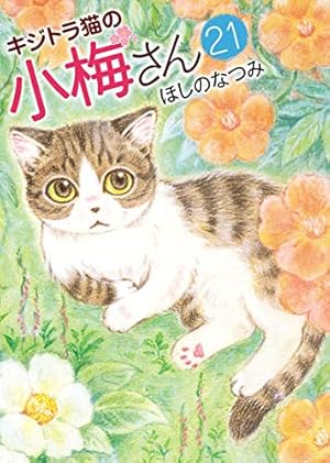 キジトラ猫の小梅さん（3） (ねこぱんちコミックス) | ほしのなつみ